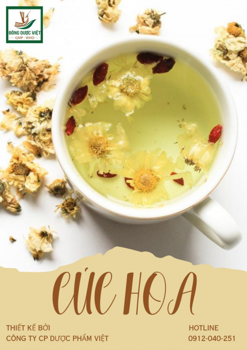 CÔNG DỤNG TUYỆT VỜI TỪ HOA CÚC