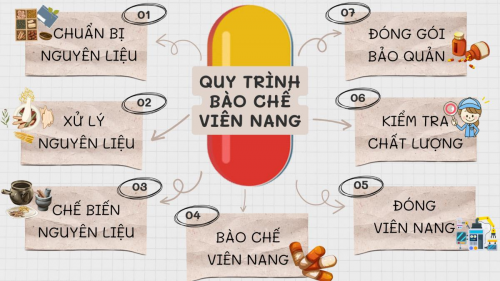 QUY TRÌNH BÀO CHẾ THUỐC ĐÔNG Y THÀNH VIÊN NANG