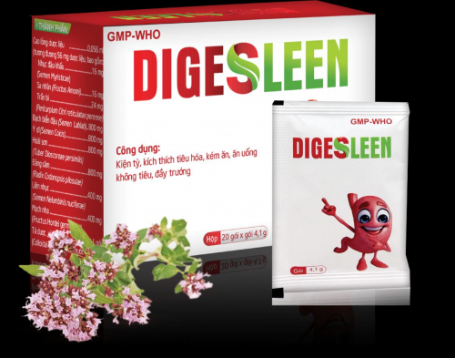DIGESLEEN